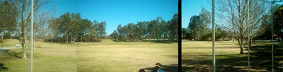 Wide view of park